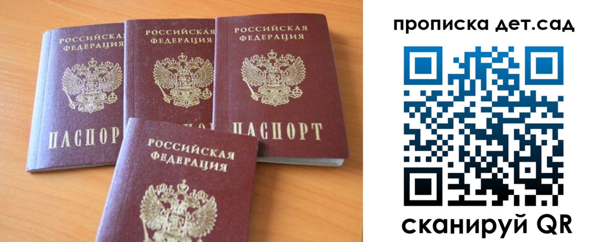 прописка законно в Светлогорске